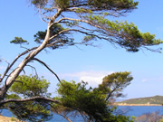 Côte d’Azur